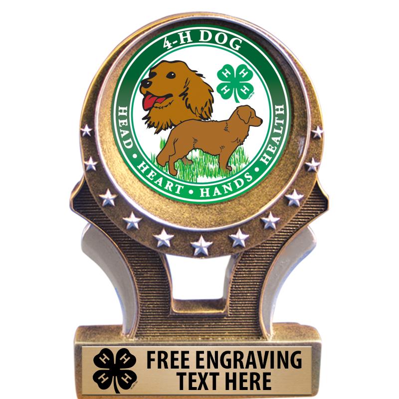 4H GOLD UNIVERSAL TROPHY