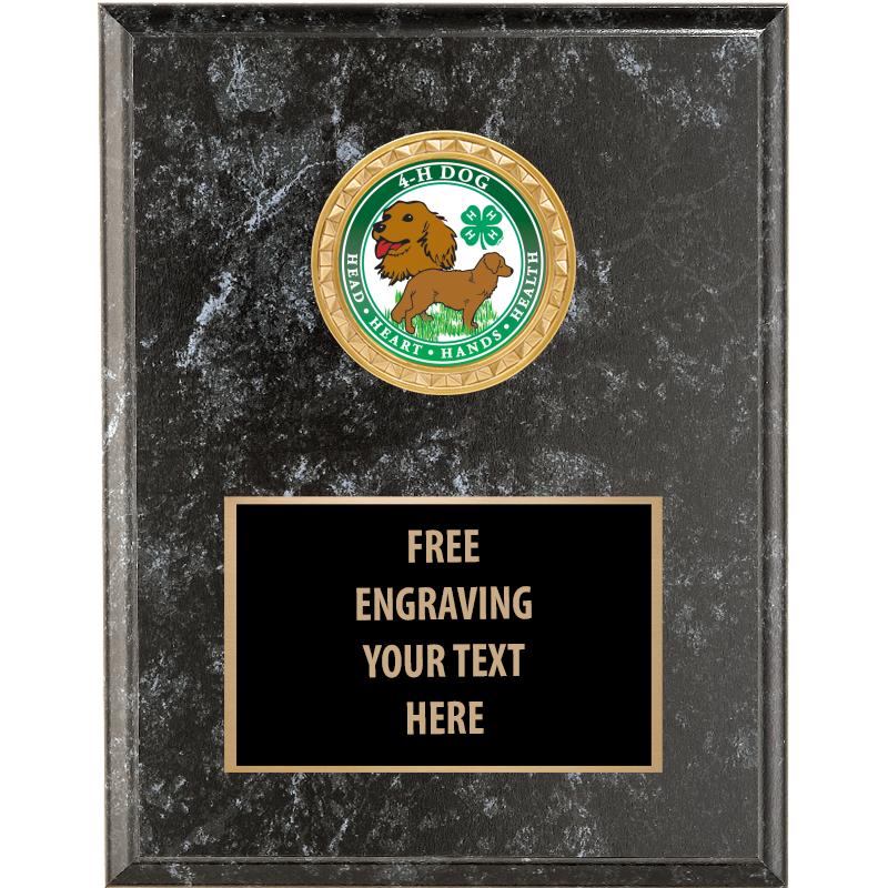 4"X6" 4H BLACK INSERT PLAQUE