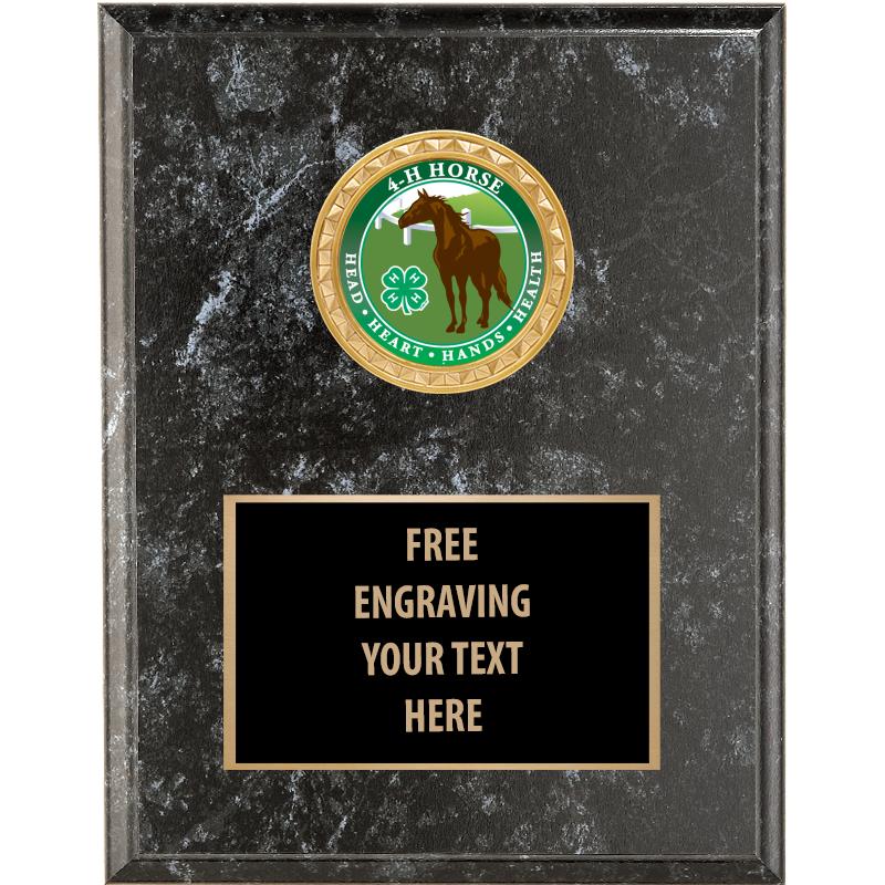 4"X6" 4H BLACK INSERT PLAQUE