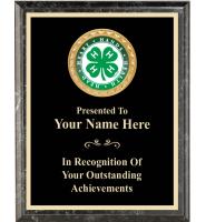 6" x 8" 4H Black Executive Insert Plaque