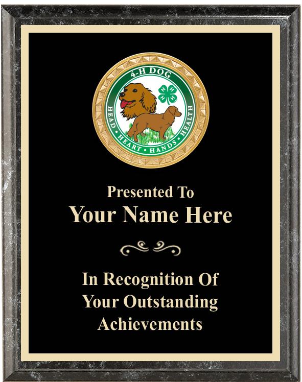 6"X8" 4H BLK EXECUTIVE INS PLQ