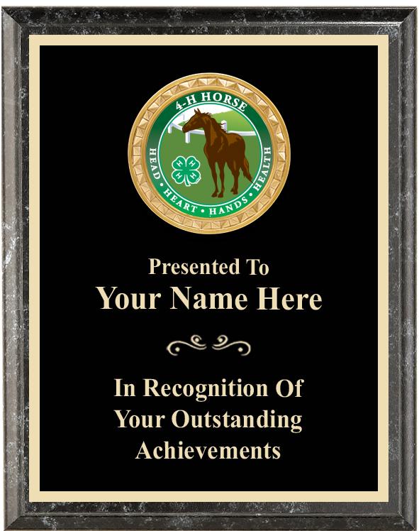 6"X8" 4H BLK EXECUTIVE INS PLQ