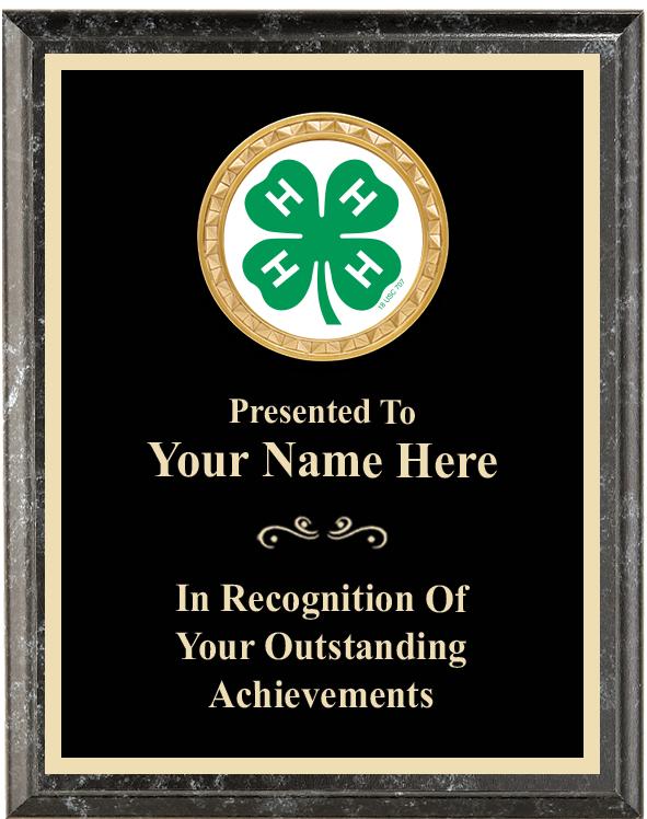 6"X8" 4H BLK EXECUTIVE INS PLQ