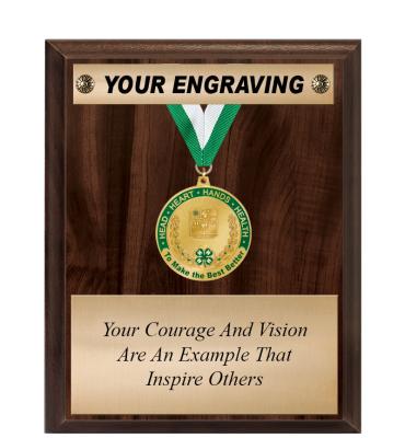 8"x10" 4-H Medal And Ribbon Plaque