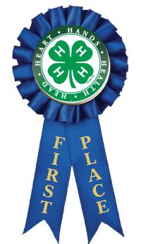 4-H 1ST PLACE ROSETTE RIBBON