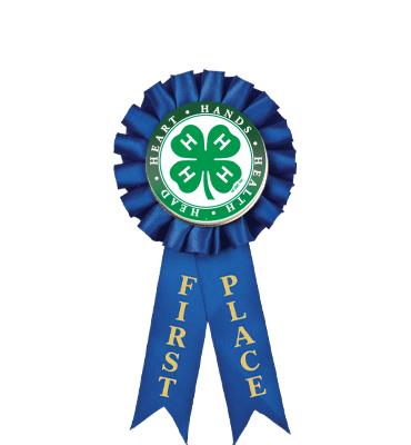 4-H 1st Place Rosette Ribbon