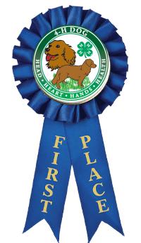 4-H 1ST PLACE ROSETTE RIBBON
