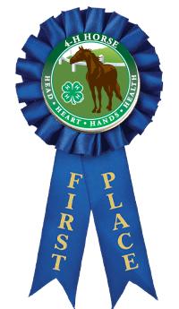4-H 1ST PLACE ROSETTE RIBBON