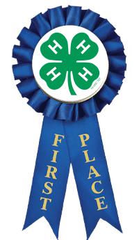 4-H 1ST PLACE ROSETTE RIBBON