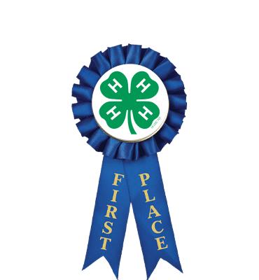 4-H 1st Place Rosette Ribbon