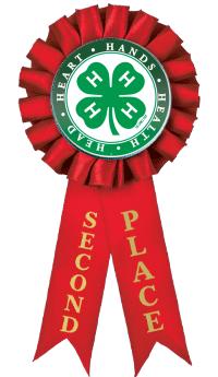 4-H 2ND PLACE ROSETTE RIBBON