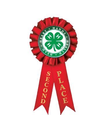 4-H 2nd Place Rosette Ribbon