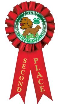 4-H 2ND PLACE ROSETTE RIBBON
