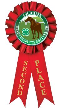 4-H 2ND PLACE ROSETTE RIBBON