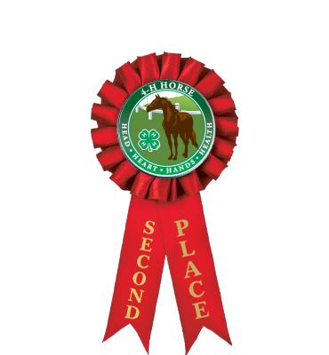 4-H 2nd Place Rosette Ribbon
