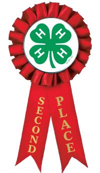 4-H 2ND PLACE ROSETTE RIBBON