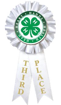 4-H 3RD PLACE ROSETTE RIBBON