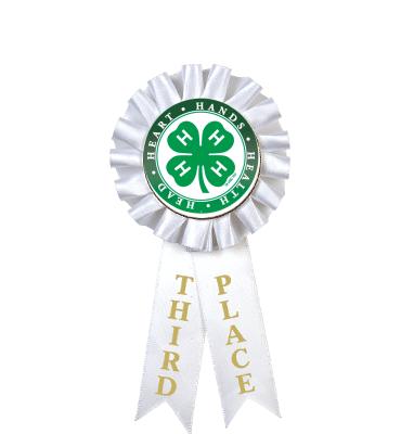 4-H 3rd Place Rosette Ribbon