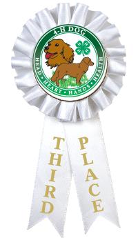 4-H 3RD PLACE ROSETTE RIBBON