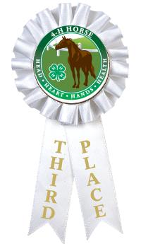 4-H 3RD PLACE ROSETTE RIBBON