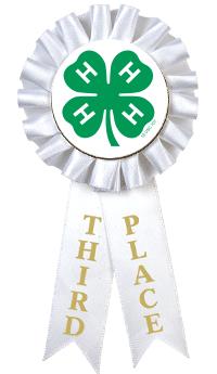 4-H 3RD PLACE ROSETTE RIBBON
