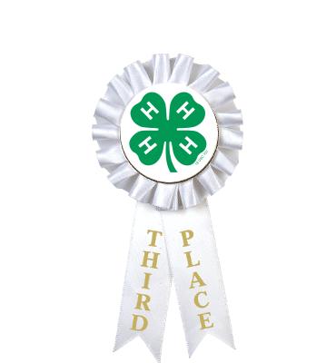 4-H 3rd Place Rosette Ribbon