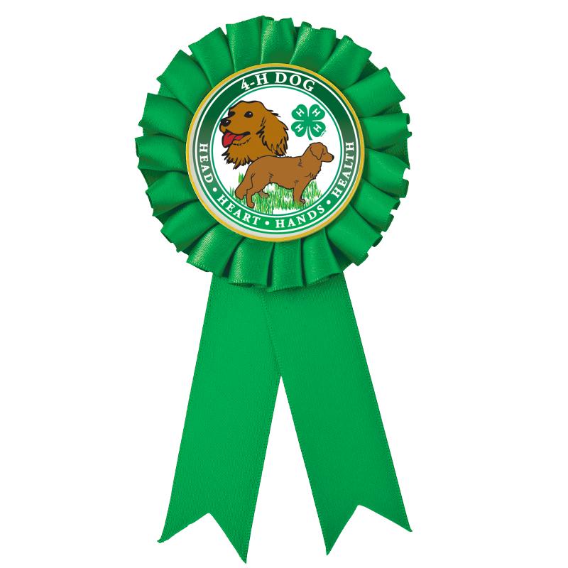 4H GREEN MYLAR INS ROSETTE