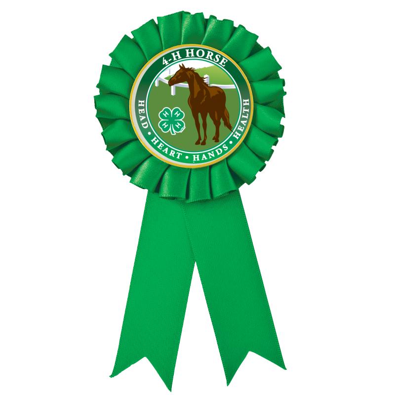 4H GREEN MYLAR INS ROSETTE