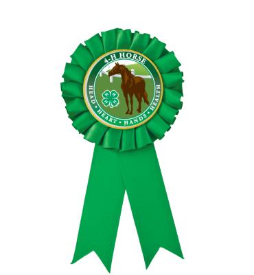 4H Green Insert Rosette Ribbon
