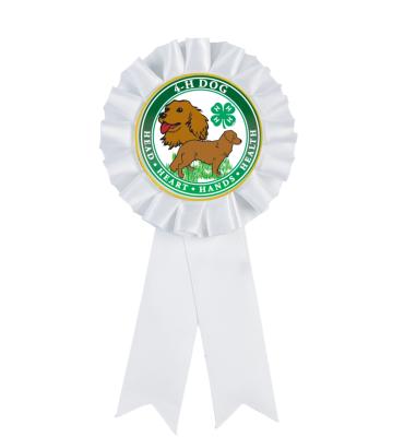 4H White Insert Rosette Ribbon