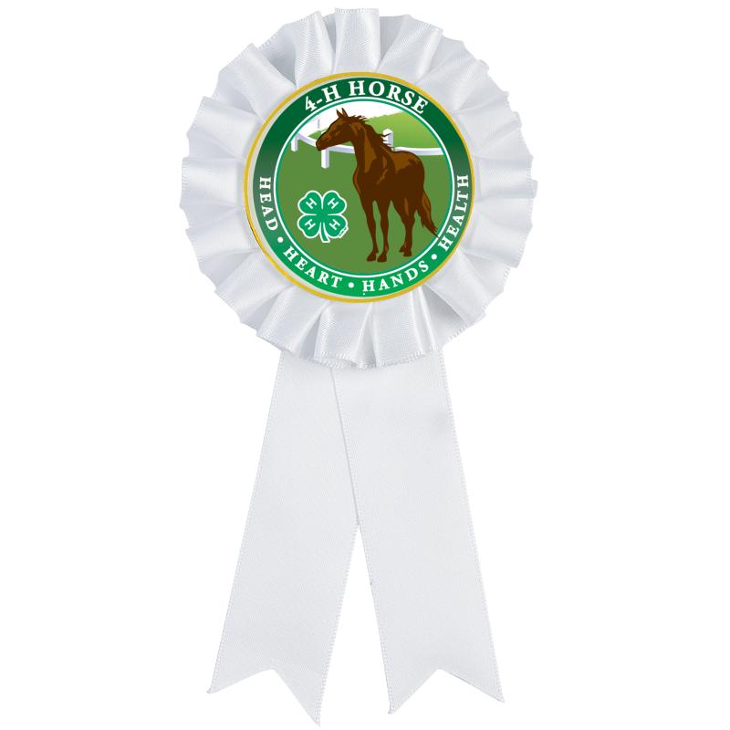 4H WHITE MYLAR INS ROSETTE