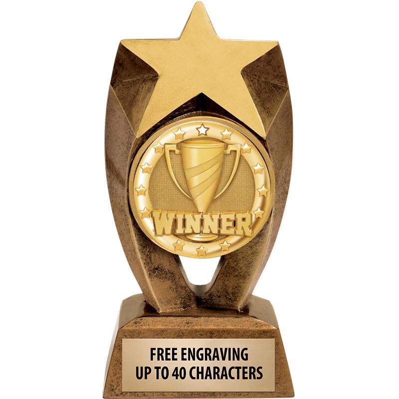 6" ASTEROID INSERT SCULPTURE