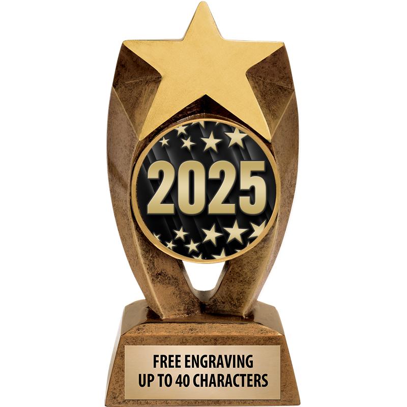 6" ASTEROID INSERT SCULPTURE