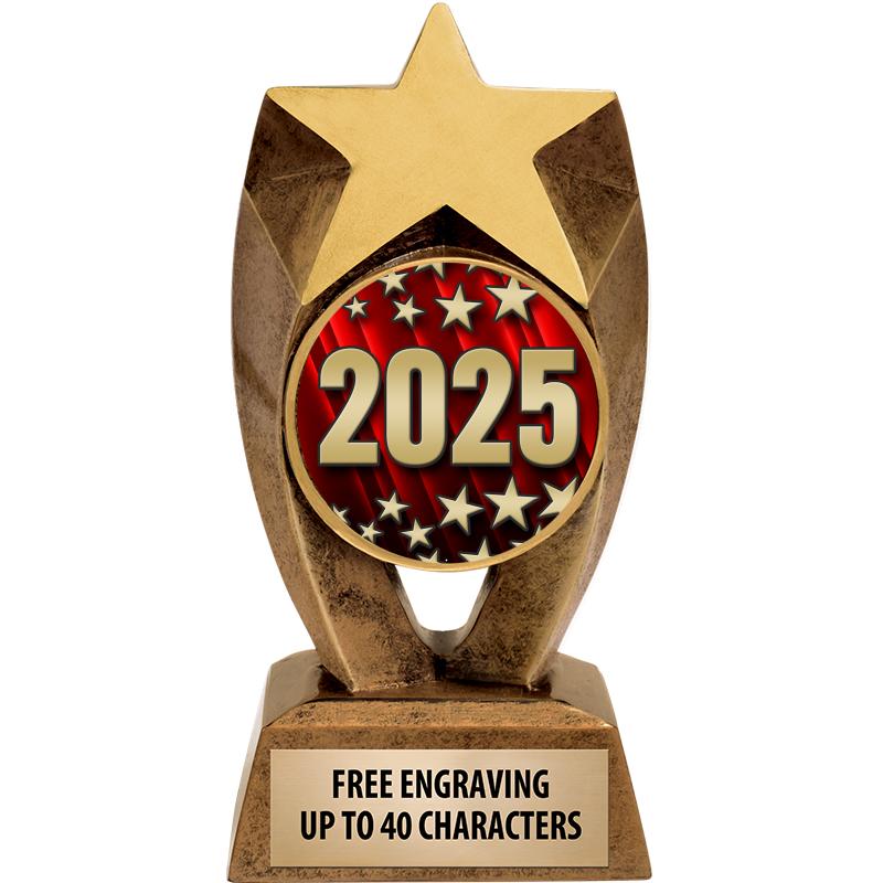 6" ASTEROID INSERT SCULPTURE