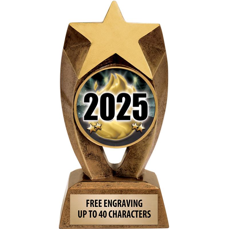 6" ASTEROID INSERT SCULPTURE