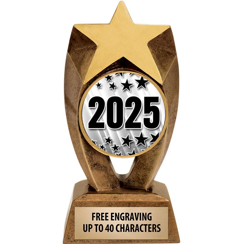 6" ASTEROID INSERT SCULPTURE