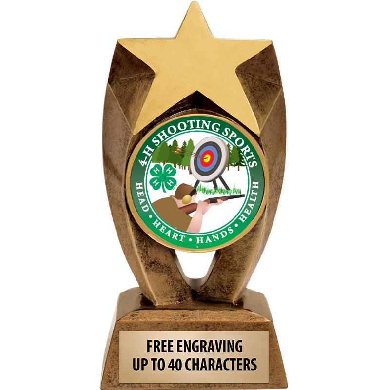 6" ASTEROID INSERT SCULPTURE