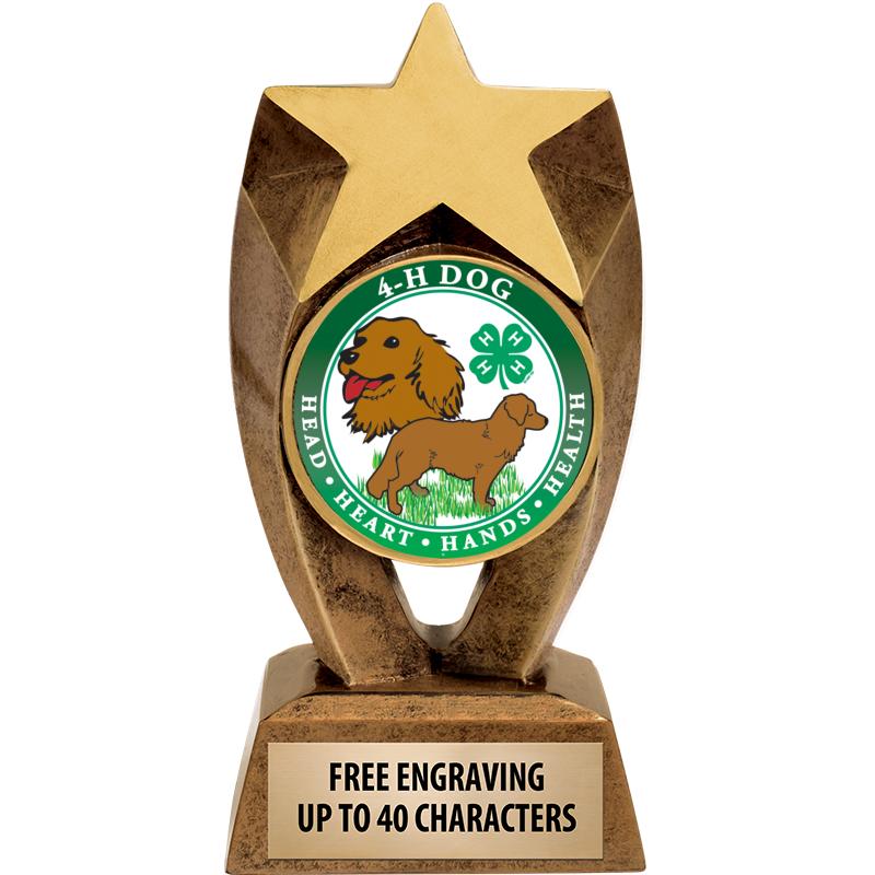 6" ASTEROID INSERT SCULPTURE