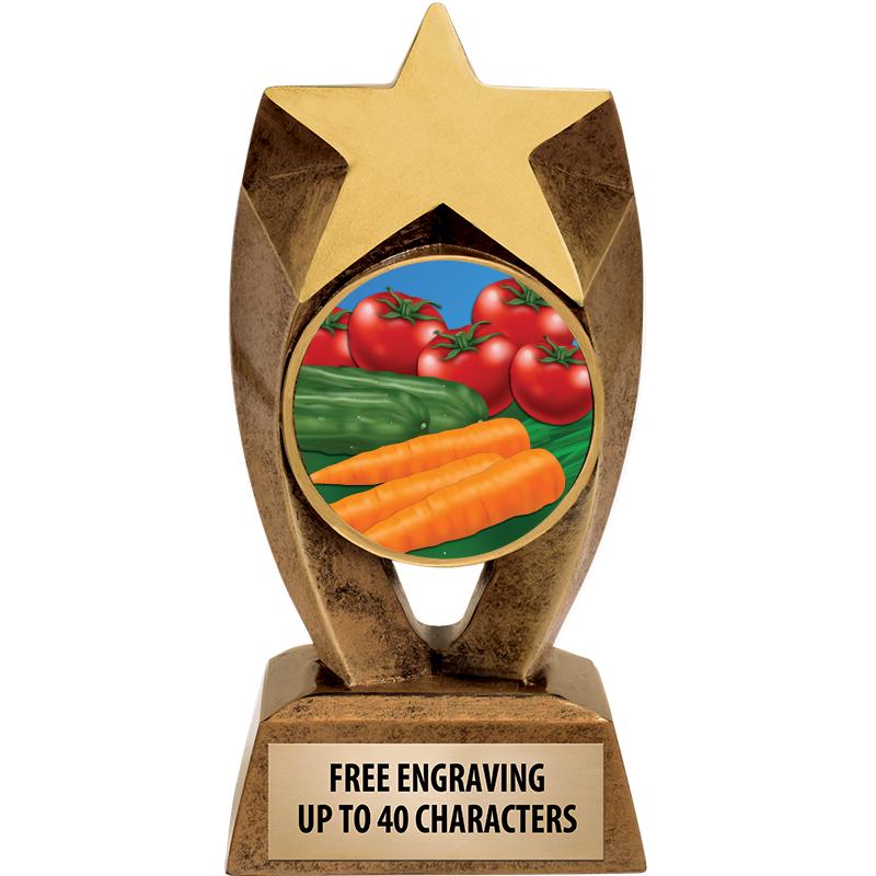 6" ASTEROID INSERT SCULPTURE