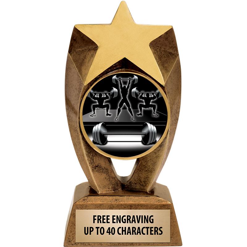 6" ASTEROID INSERT SCULPTURE