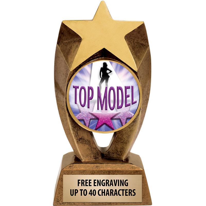 6" ASTEROID INSERT SCULPTURE