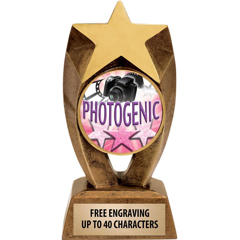 6" ASTEROID INSERT SCULPTURE