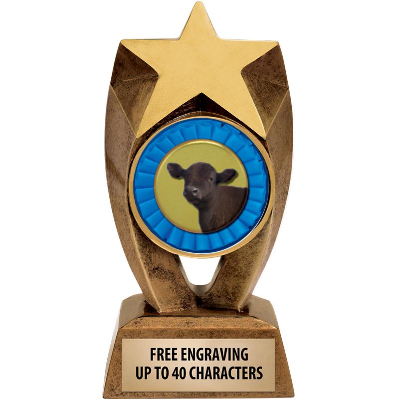 6" ASTEROID INSERT SCULPTURE