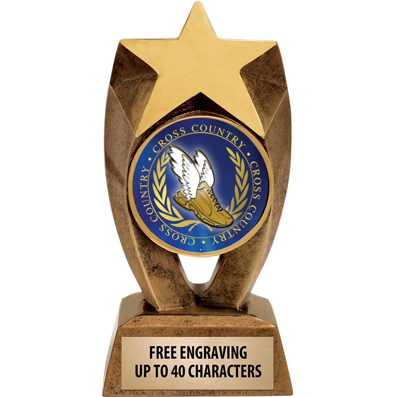 6" ASTEROID INSERT SCULPTURE