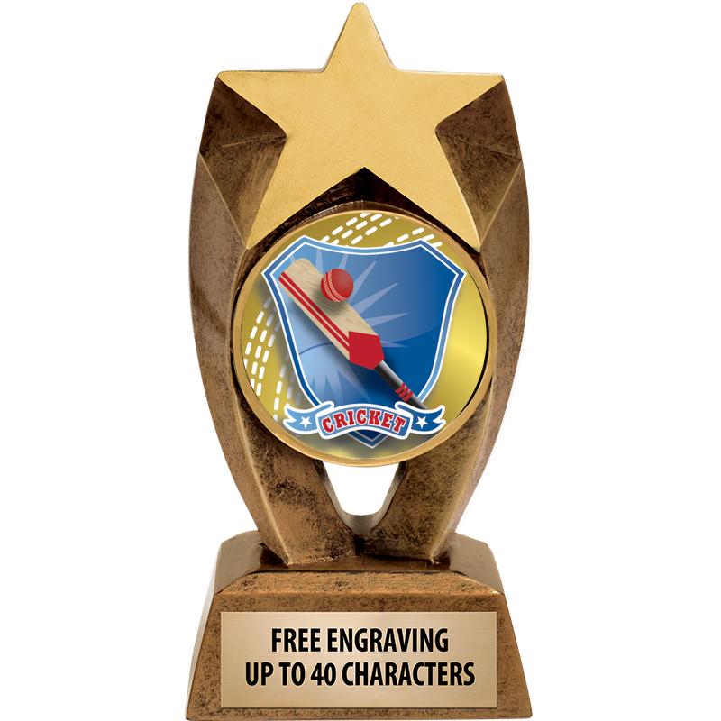 6" ASTEROID INSERT SCULPTURE