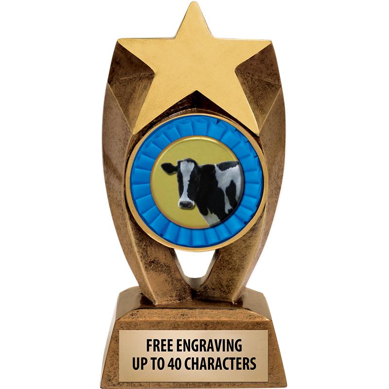 6" ASTEROID INSERT SCULPTURE