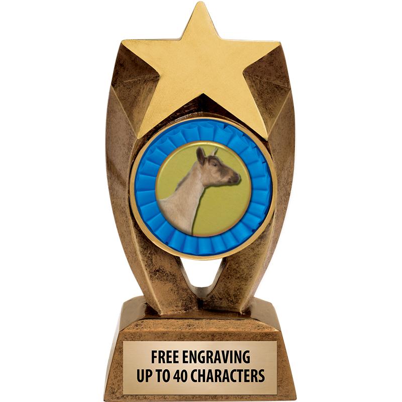 6" ASTEROID INSERT SCULPTURE