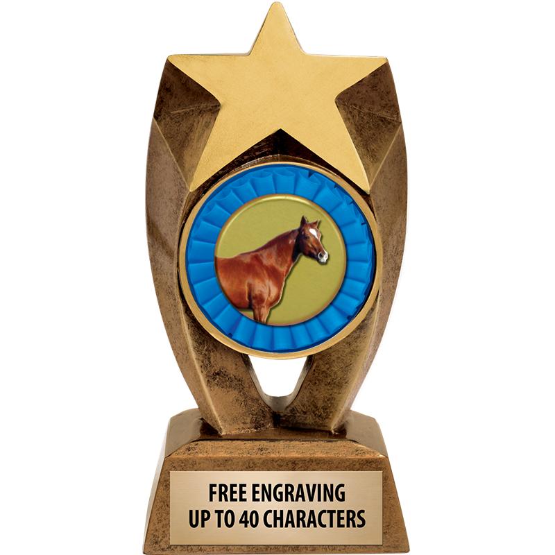 6" ASTEROID INSERT SCULPTURE