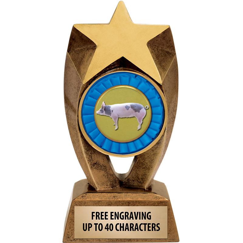 6" ASTEROID INSERT SCULPTURE