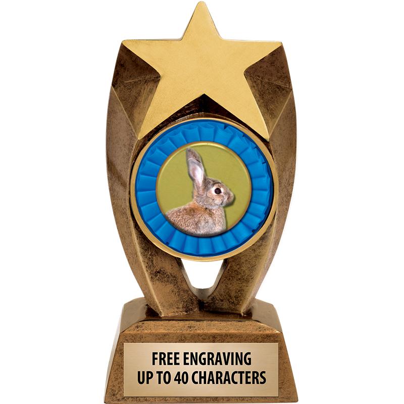 6" ASTEROID INSERT SCULPTURE